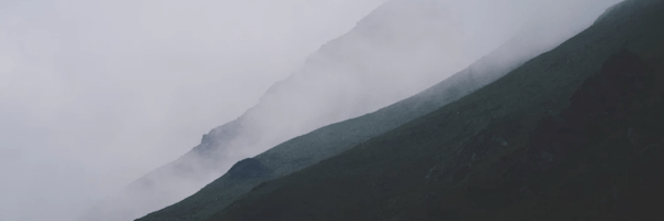 Screen Shot 2018-12-31 at 3.52.37 PM