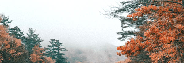 Screen Shot 2018-12-31 at 3.38.33 PM.png