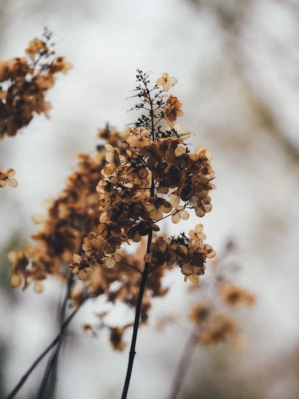 Romans 1 & 2 | Obedience of&nbsp;Faith