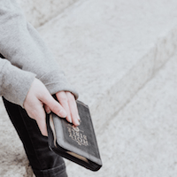 Screen Shot 2018-12-31 at 3.49.15 PM