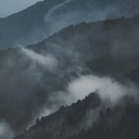 Screen Shot 2018-12-31 at 3.52.08 PM.png